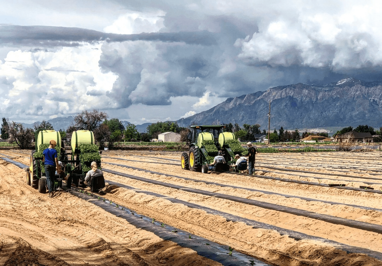 Drip irrigation shows promising results in water savings in Utah